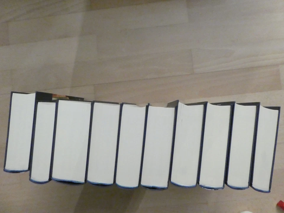 Dostojewski sämtliche Werke in 10 Bänden*im Schuber*Piper Verlag*TOP - Bild 3 von 4