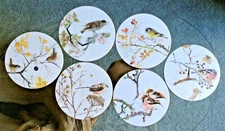 6 Lady Claire Hardboard TableMat Trivets ~ Beautiful Birds Rare Ed. NEW in BOX
