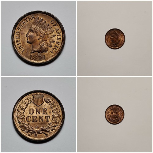 Centavo de cabeza india de EE. UU. 1891 - 1c - RB CHBU + RPD como nuevo variedad de errores ¡Nieve-28!¡! - Imagen 12 de 12