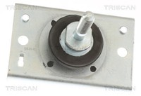 Motorlager Triscan 8505 10116 FüR Opel Movano X70 Bus DTI UD0 UD4 Renault Master
