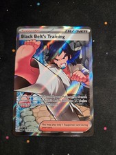 Black Belt's Training 255/217 Double Rare Ascended Heroes Pokemon Holo NM