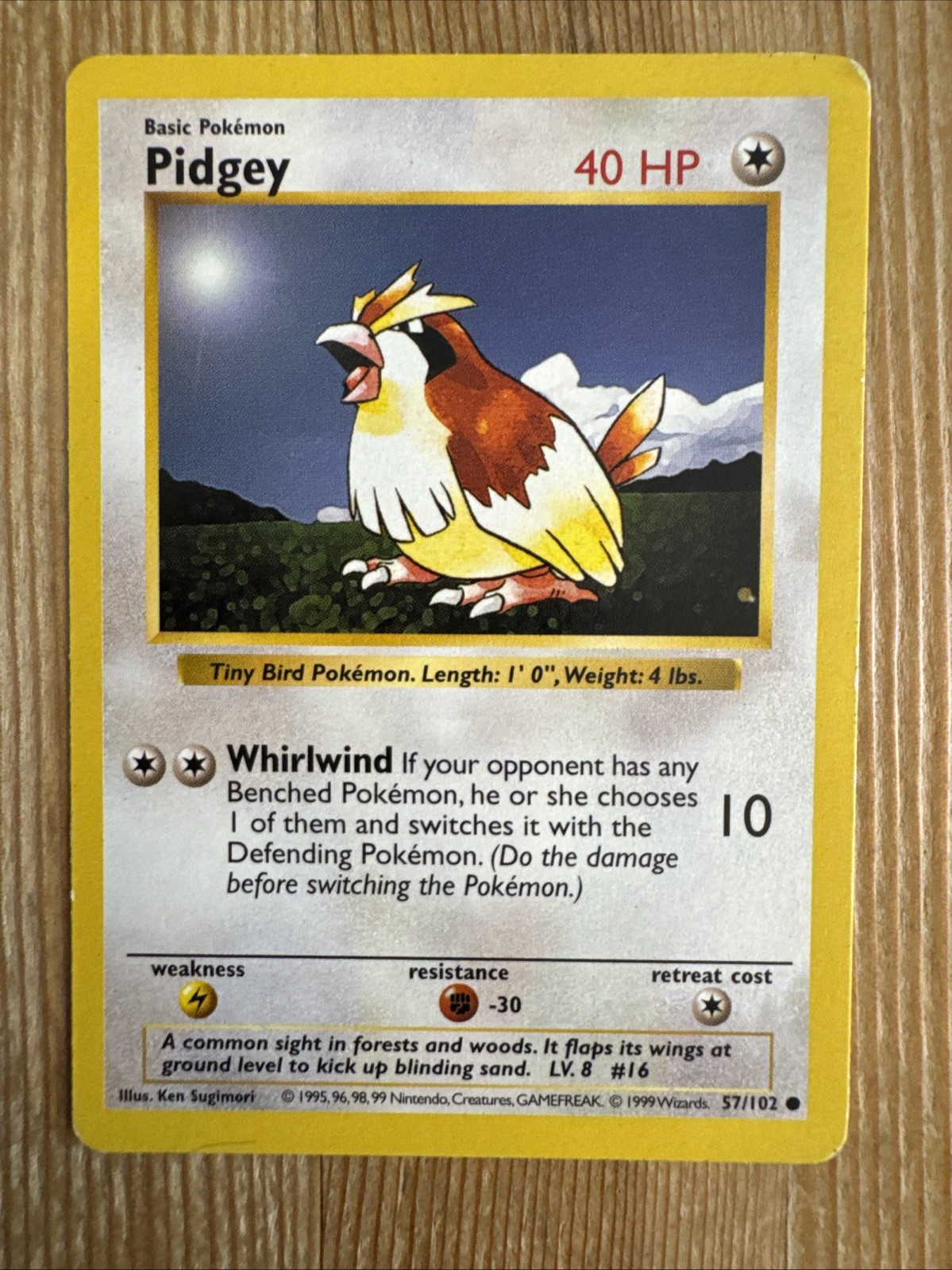 Pidgey