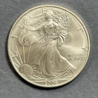2006 American Silver Eagle 1 oz .999 Fine Silver ASE Fresh From Tube