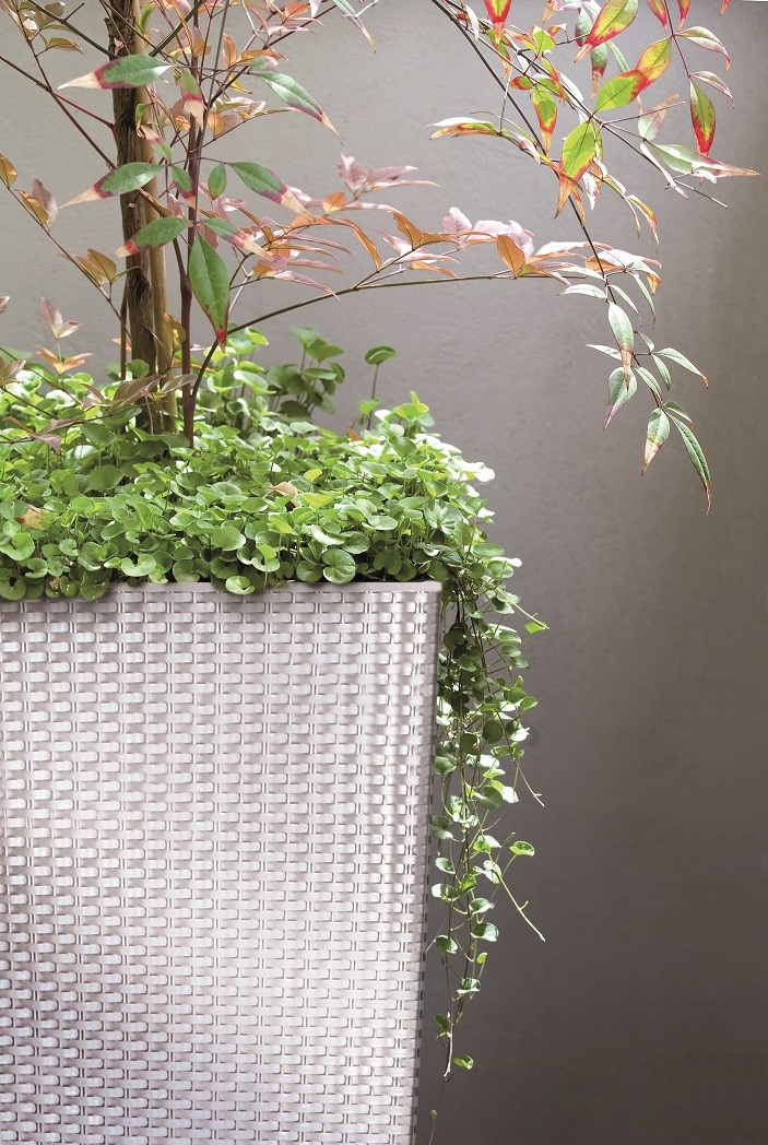 Vaso Per Fiori Effetto Rattan Con Inserto Rato (300 Umbra - Foto 8