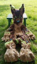 Long Fur Husky Dog Fox Mascot Costume Fursuit Halloween Suit Cosplay-