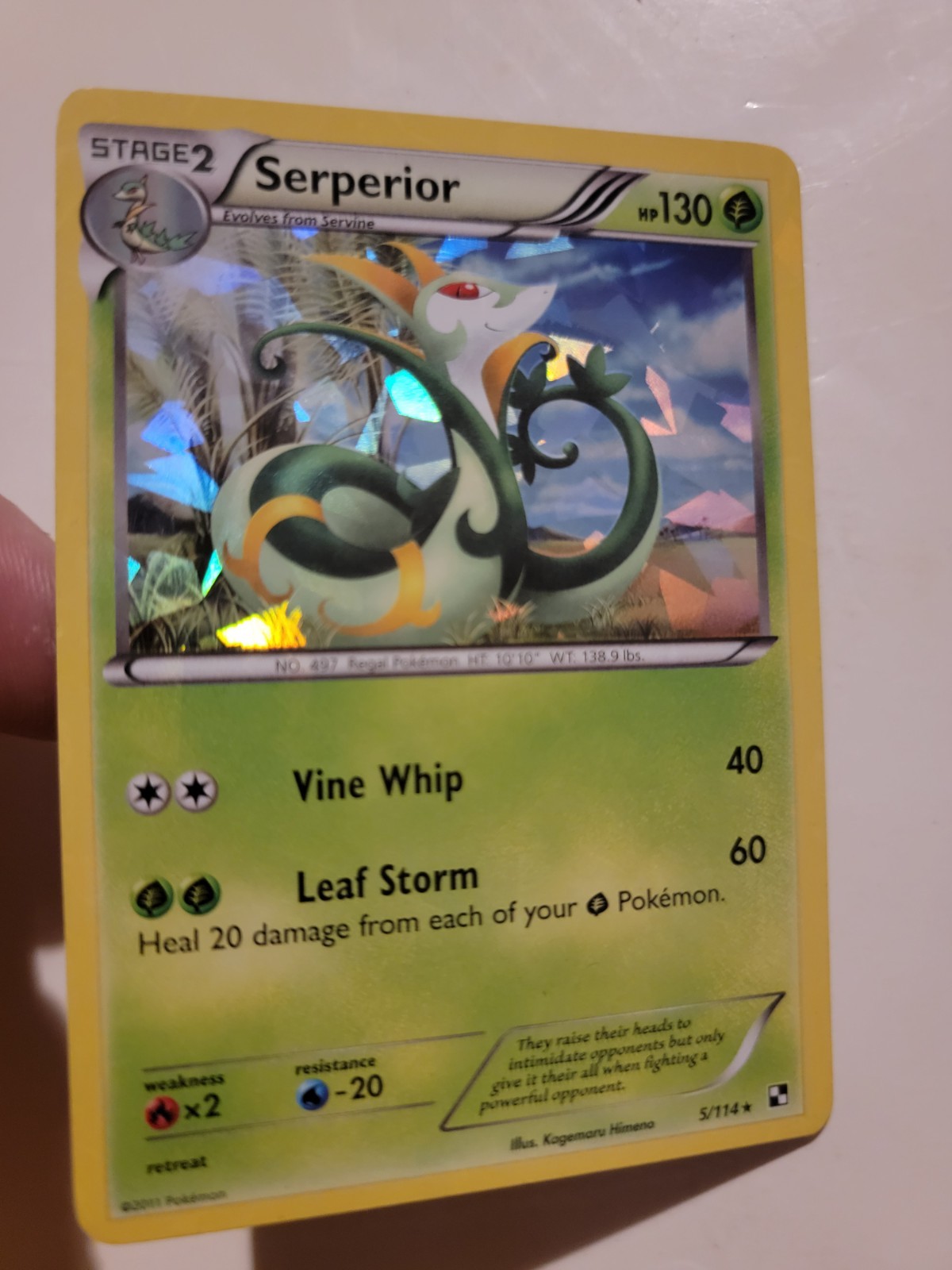 Pokémon TCG Serperior Black and White 5/114 Exclusive Cracked Ice Holo 