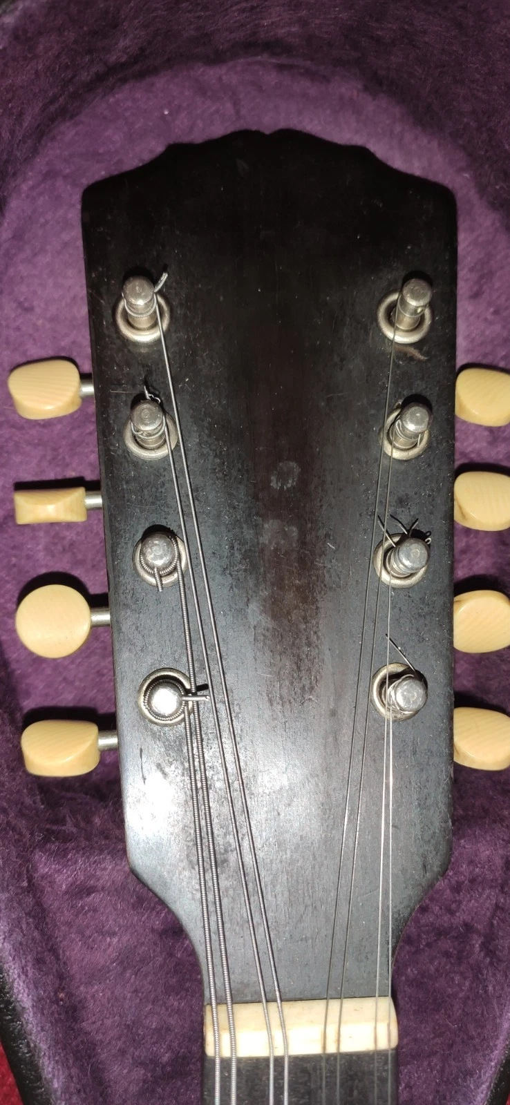 Picture 4 of 17