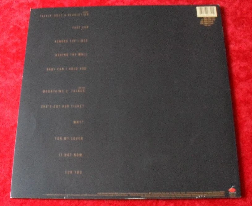 Tracy Chapman LP same (mit Lyrics-Booklet) - Imagen 2 de 4