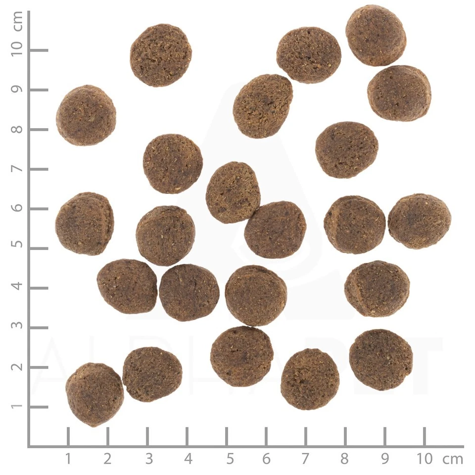 4260603786558 WOLFSBLUT VetLine Gastrointestinal Duck - trockenfutter für Hunde  - Bild 3 von 3