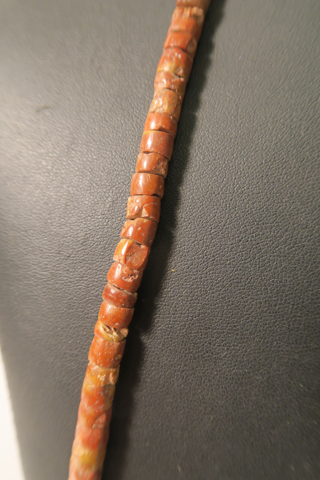 Picture 7 of 7
