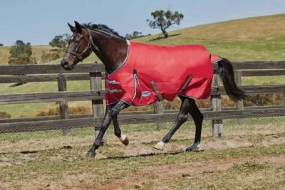 WEATHERBEETA COMFITEC CLASSIC Standardhals mittleres Gewicht 220 g Wahlbeteiligung Teppich VERKAUF