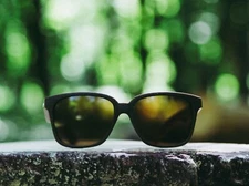 Wooden Dark Sunglasses by nologo