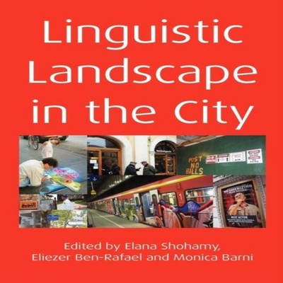 Linguistic Landscape in the City Channel View Publications Paperb