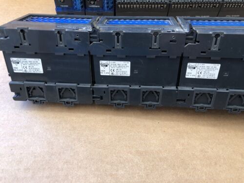 Automation Direct Terminal I/O (T1K-16ND3, T1K-16TD2-1, T1K-01DC, T1K-DEVNETS) - Foto 12 di 16