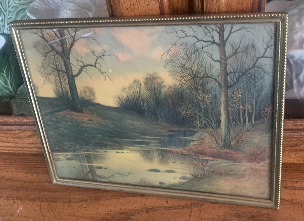 Picture 5 of 20