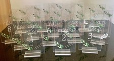 Table Numbers 1-20 Acrylic Wedding & Party Set / Stands Hand Painted