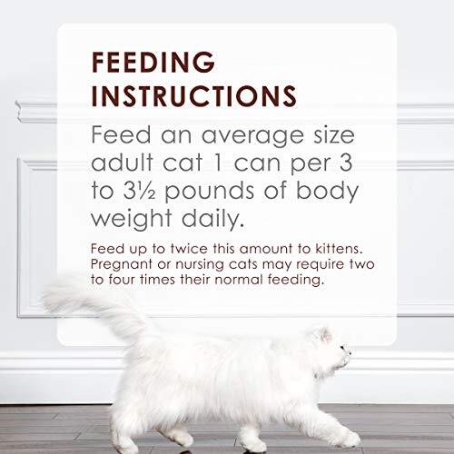 Purina Fancy Feast Tender Beef Feast Classic Grain Free Wet Cat Food Pate - 3... - Picture 8 of 9
