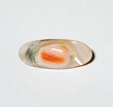 Vintage Art Nouveau Oval Blister Shell Brooch #8874