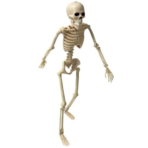 16" Halloween Skeleton Decorative,Spooky Lawn & Haunted House Props with - Picture 5 of 8
