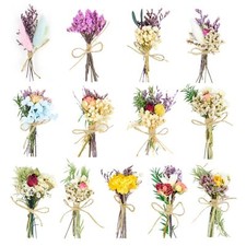 13 PCS Mini Dried Flower Bouquet Forget Me Not Floral DIY Crafts Photo Props