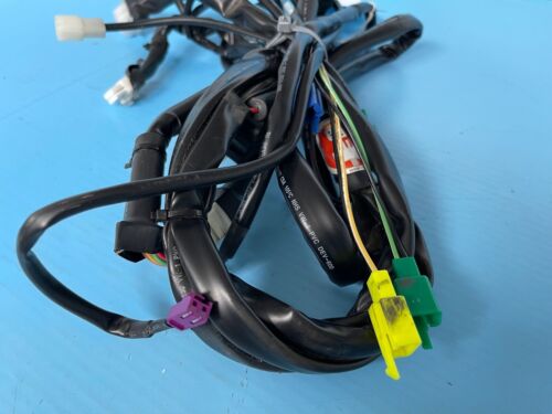 Landlex Broadway RS 8 Meilen pro Stunde Elektromobil Hauptkabelbaum - Teile B - Bild 3 von 5