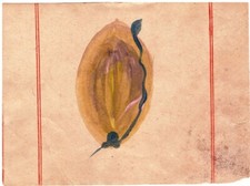 SNAKE TANTRA PAINTING TANTRIC ART YONI PAINTING OLD PAPER HANDMADE