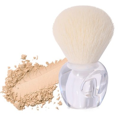 Mini Multitask Makeup Brush, Blush Brush, Large Make up Brush Face Brush for ...