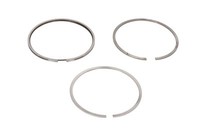 Kolbenringsatz Mahle 009 36 N0