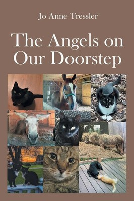 The Angels on Our Doorstep Jo Anne Tressler Taschenbuch Kartoniert / Broschiert