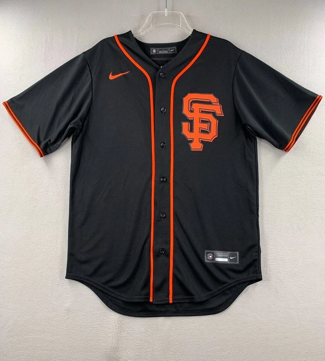 Men's Nike Buster Posey Black San Francisco Giants Alternate