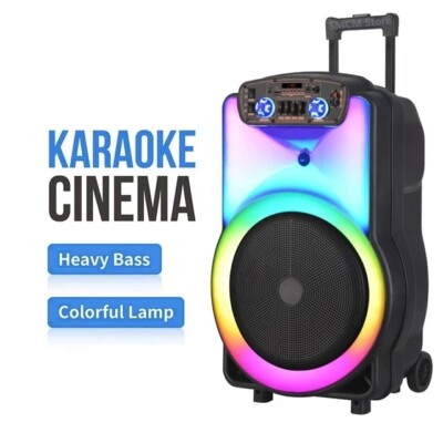 12 Zoll Tragbarer Bluetooth Lautsprecher Subwoofer Schwerer Bass Sound Party System mit Mikrofon