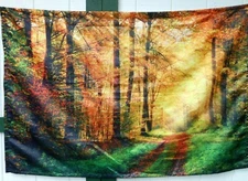 60x40 FALL FORREST WALL TAPESTRY ~ AUTUMN COLOR TAPESTRY BACKDROP ~ #N46