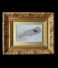 Exquisite Miniature Art on a Feather Hawk Hand Painted in Acrylic Framed Signed
