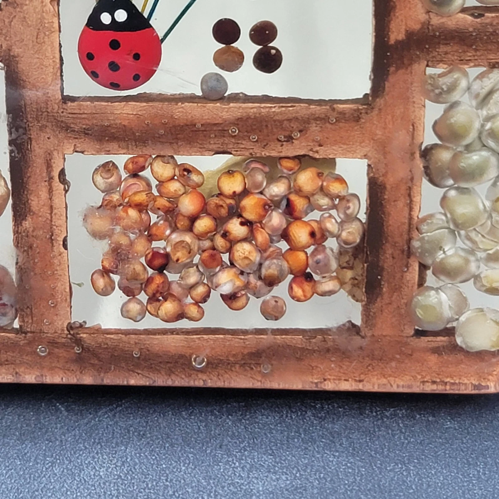Vintage Gamut Designs Trivet Dried Flowers Seeds Boho Mid Century Hexagon 5.5" image 3