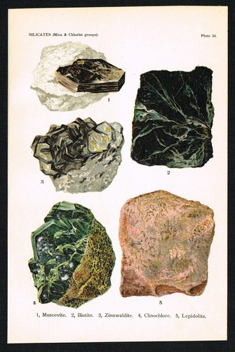 1911 Antique Mineral Print – Mica & Chlorite Group: Muscovite, Lepidolite, etc. - Bild 5 von 7