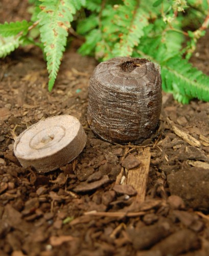 Jiffy 7 Peat Pellets 30mm - Seed Starting Plugs & Growing Media - Case of 1700 - 第 1/7 張圖片