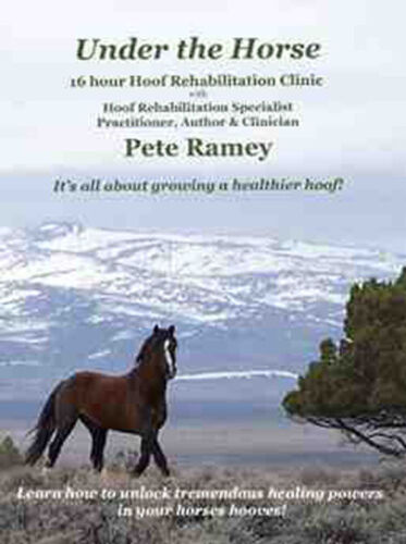 Under The Horse Natural hoof care Pete Ramey 10 DVDS - Picture 3 of 3