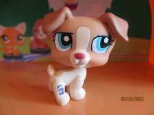 Petshop Chien Jack Russel