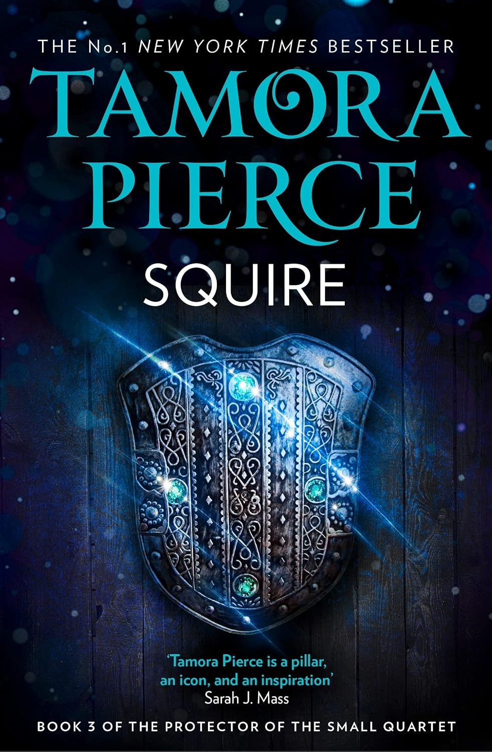 Squire (The Protector of the Small Quartet Book 3) by Tamora Pierce (PB 2019) - Image 6