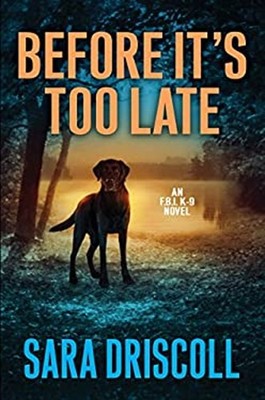 Before Its Too Late Hardcover S. Driscoll