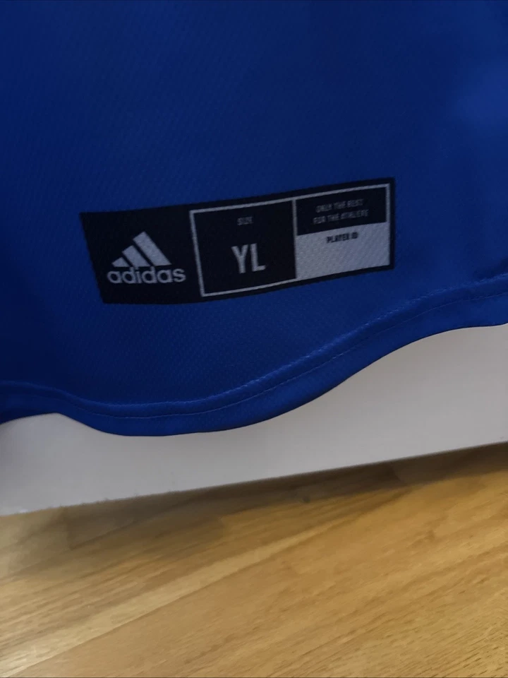 Camiseta Adidas 2024 LLWS Great Lakes juvenil grande Foto 3 de 4