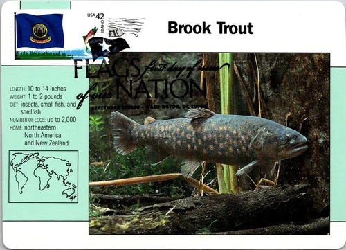 Dr Jim Stamps Maximum Card Idaho State Flag 42C Flags Of Our Nation Fdc