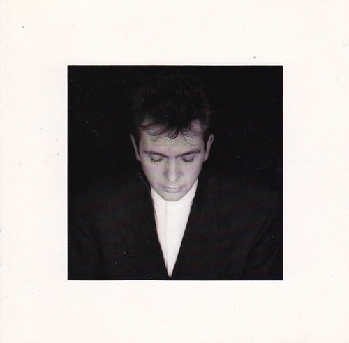 Peter Gabriel - Shaking The Tree (Sixteen Golden Greats) (CD, Comp, Club, Spe) ( - 第 1/4 張圖片