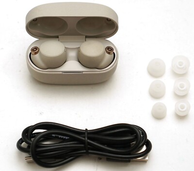 SONY WF-1000XM4/S EarBuds Noise Canceling In-Ear Headphones Silver  