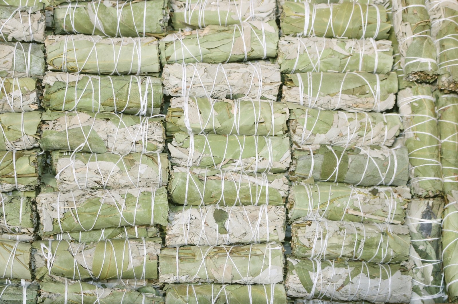 Sage Smudge Sticks 4" Eucalyptus Bulk Wholesale Energy Cleansing