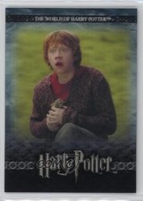 2008 The World of Harry Potter 3D 2nd Edition Ron Weasley Protects Scabbers 1d7a
