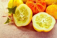 Lemon Cucumber Seeds - 100+ Seeds to Grow - Exotic Heirloom Vegetable Seeds for 