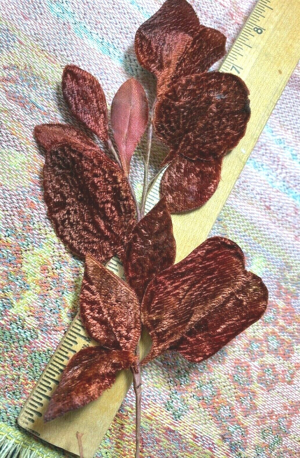 Picture 7 of 21