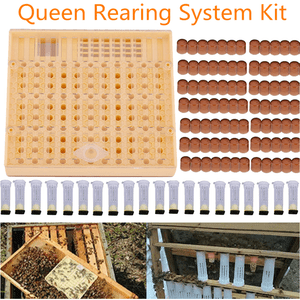 Cell-Cups-Cupkit-Complete-Bee-Queen-Rearing-System-Beekeeping-Box-Case-Set-Kit-H
