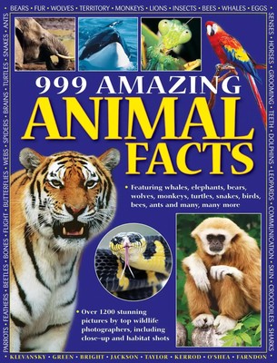 999 Amazing Animal Facts | Armadillo | Englisch | Taschenbuch | 2013